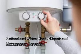 Professional Water Heater Repair and Maintenance Services Professional Water Heater Repair and Maintenance Services