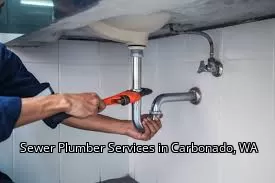 Sewer Plumber Services in Carbonado, WA