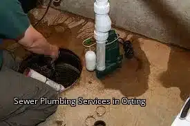 Sewer Plumbing Services in Orting