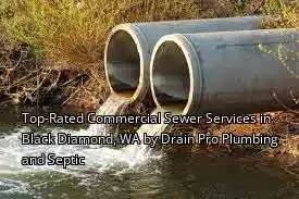 Top-Rated Commercial Sewer Services in Black Diamond, WA by Drain Pro Plumbing and Septic Top-Rated Commercial Sewer Services in Black Diamond, WA by Drain Pro Plumbing and Septic