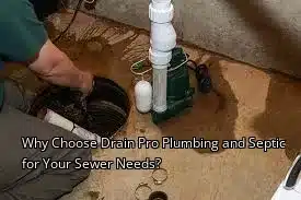 Why Choose Drain Pro Plumbing and Septic for Your Sewer Needs?