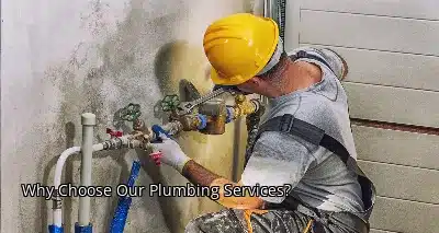 Why Choose Our Plumbing Services?
