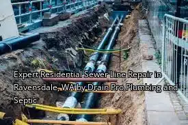 Expert Residential Sewer Line Repair in Ravensdale, WA by Drain Pro Plumbing and Septic Expert Residential Sewer Line Repair in Ravensdale, WA by Drain Pro Plumbing and Septic