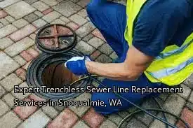 Expert Trenchless Sewer Line Replacement Services in Snoqualmie, WA Expert Trenchless Sewer Line Replacement Services in Snoqualmie, WA
