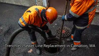 Trenchless Sewer Line Replacement in Carnation, WA Trenchless Sewer Line Replacement in Carnation, WA