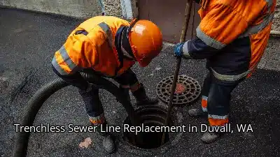 Trenchless Sewer Line Replacement in Duvall, WA Trenchless Sewer Line Replacement in Duvall, WA