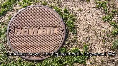 Trenchless Sewer Line Replacement in Edgewood, WA Trenchless Sewer Line Replacement in Edgewood, WA