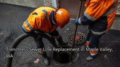 Trenchless Sewer Line Replacement in Maple Valley, WA Trenchless Sewer Line Replacement in Maple Valley, WA