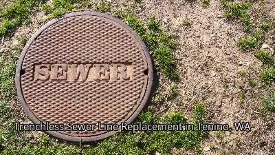 Trenchless Sewer Line Replacement in Tenino, WA Trenchless Sewer Line Replacement in Tenino, WA