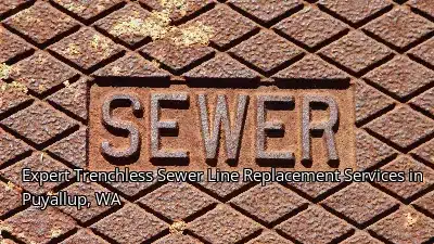 Expert Trenchless Sewer Line Replacement Services in Puyallup, WA Expert Trenchless Sewer Line Replacement Services in Puyallup, WA